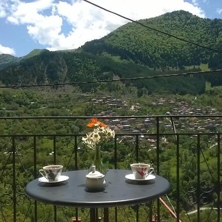 Baou House Apartment Metsovo Ngoại thất bức ảnh