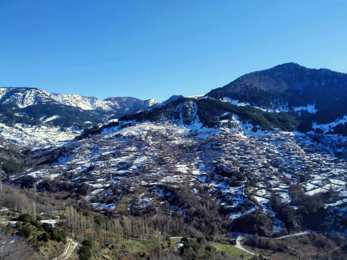 Baou House Apartment Metsovo Ngoại thất bức ảnh